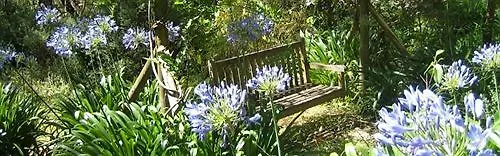 The Gallery Bed And Breakfast Adelaïde Australie